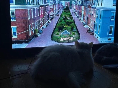 オススメの映画は？