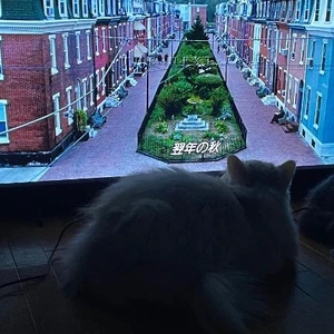 オススメの映画は？