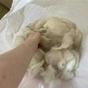 今年の最後の大仕事！