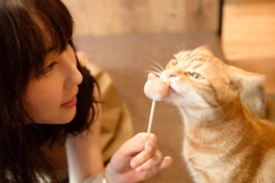 顔出し(気分なので消すかも)