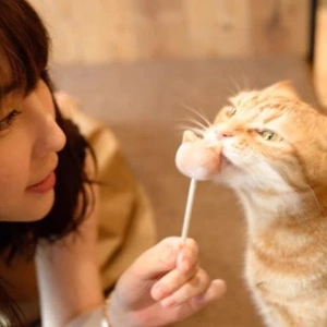 顔出し(気分なので消すかも)