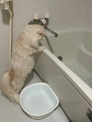 なかなか出勤できなくてすみません