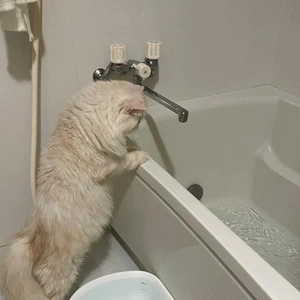 なかなか出勤できなくてすみません