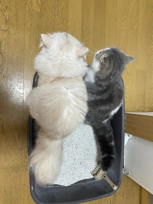 休日でしたので…