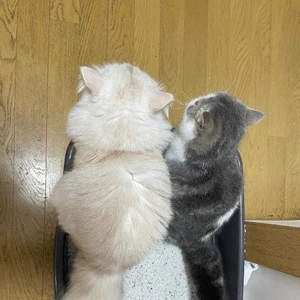 休日でしたので…