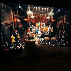 ニャンニャンニャンの日