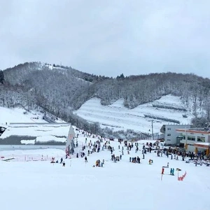 💗オリンピック💗