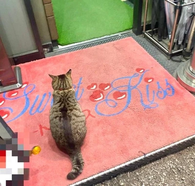 💗おんなのこ💗