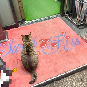 💗おんなのこ💗