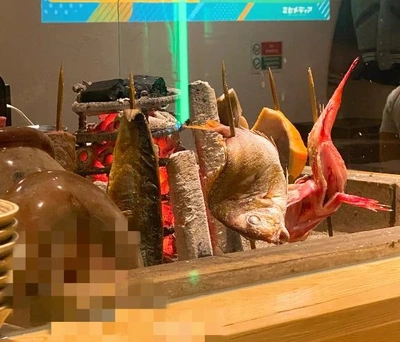 💗おさかな💗