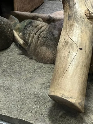 今週残り💓
