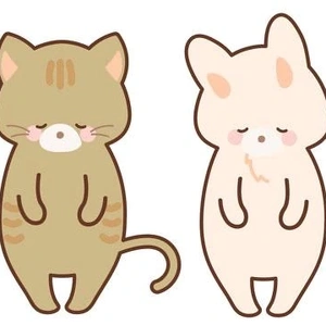 すみません