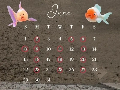 今月の予定