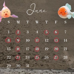 今月の予定