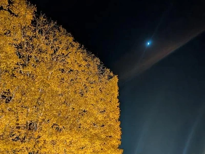 寒いのはやっぱりキツい・・・