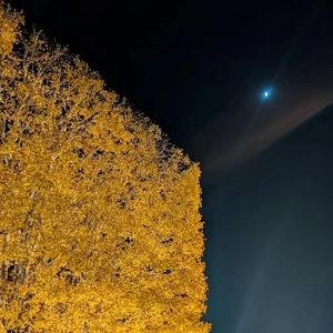 寒いのはやっぱりキツい・・・