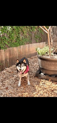 本日出勤します!!