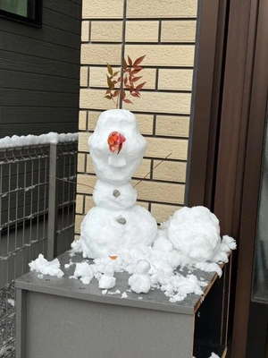 本日出勤してます🐇🎀