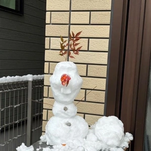 本日出勤してます🐇🎀