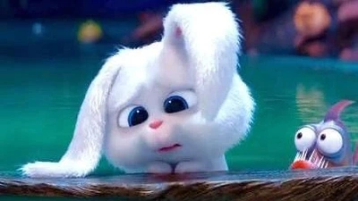 本当にすみません本日お休みします、、😭