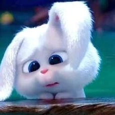 本当にすみません本日お休みします、、😭