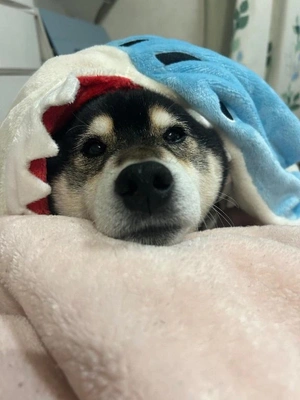 本日22時まで出勤します🐇🎀