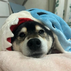 本日22時まで出勤します🐇🎀