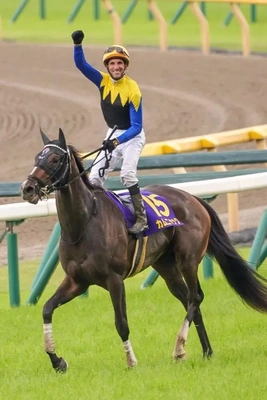 🐴かむにゃっく🐴