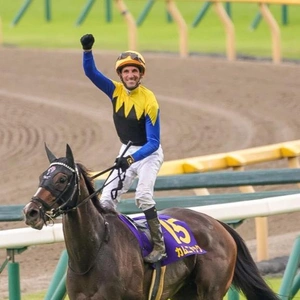 🐴かむにゃっく🐴