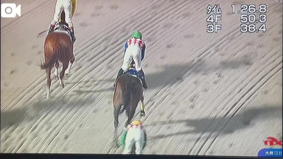 お・し・り