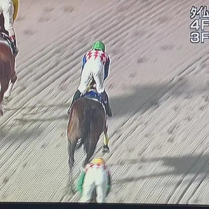 お・し・り