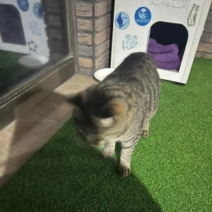 本日もありがとうございました！