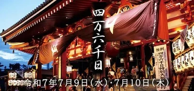 寿命にすると...１２６年❓‼️