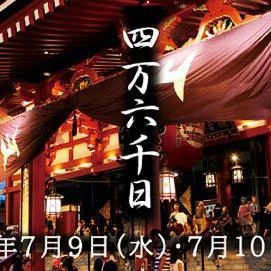 寿命にすると...１２６年❓‼️