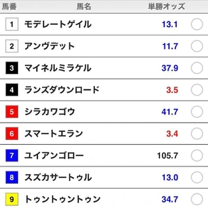 次回13:40〜 🐴ｳﾏﾅﾐｶｲﾄﾞｳ🐴ﾄｩﾝﾄｩﾝﾄｩﾝ✨