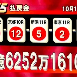 これがギャンブルだよ？本当の競馬の楽しみ方を特別に教えてあげますね😊✨