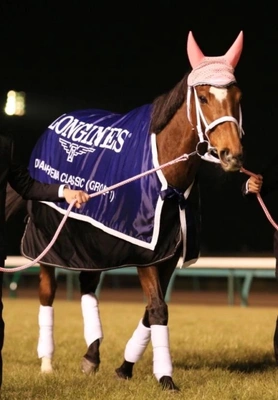 競馬と言うよりも馬が好きなんだよね！