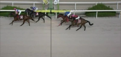 🐴　レース結果　🐴