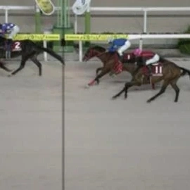 🐴　レース結果　🐴