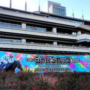 今日のジャパンカップは...