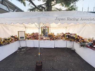 ジェンティルドンナ🐴🎀