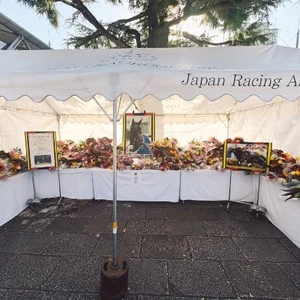 ジェンティルドンナ🐴🎀