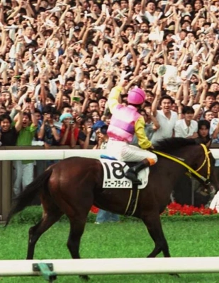 競馬はギャンブルじゃなくてドラマとしてみるひともいるよ！