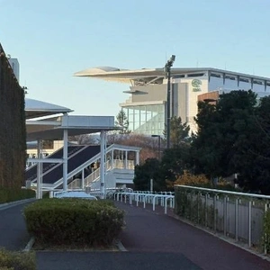 ここどこかわかるひといるかなー？