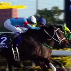 チャンピオンズカップはどうでしたか？