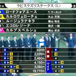 🐴 ラピスラズリステークス 🐴