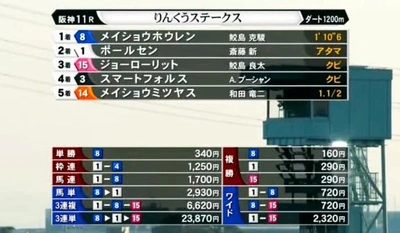 🐴 りんくうステークス 🐴