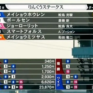 🐴 りんくうステークス 🐴