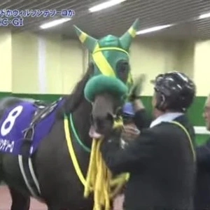 スイキス競馬好きの予想は...