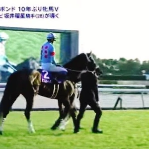 10年ぶり牝馬V🐴🎀